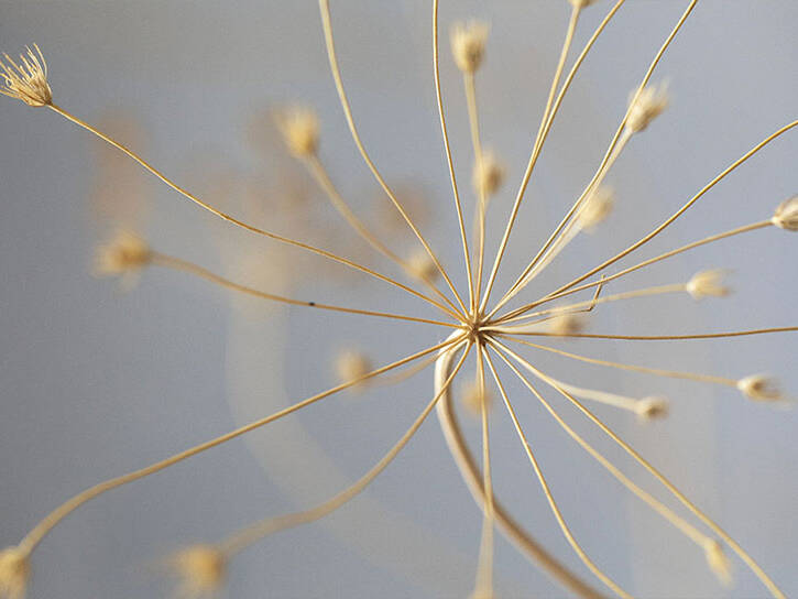 Son de Mar, hotel spa restaurant à Saint-Cyprien, Sud Corse