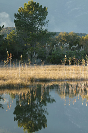 Des vacances reposantes à Porto-Vecchio en Corse du Sud, Son de Mar