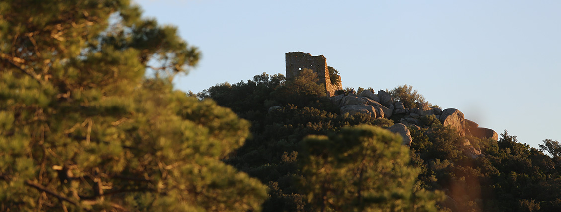 Activités terre et visite du patrimoine Corse