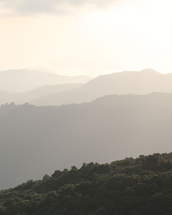 Printemps dans le Sud de la Corse