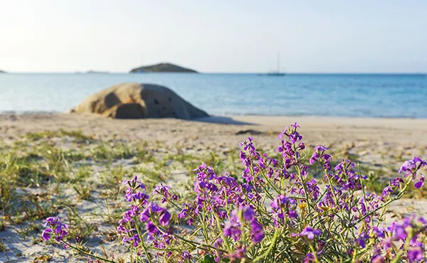 Plage de l'hôtel Son de Mar à San Ciprianu Porto-Vecchio