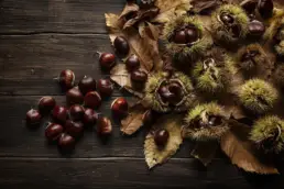Recette d’automne : crème de châtaignes corses façon Son de Mar