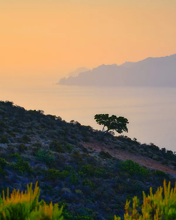San Ciprianu - La Corse quand on ferme les yeux